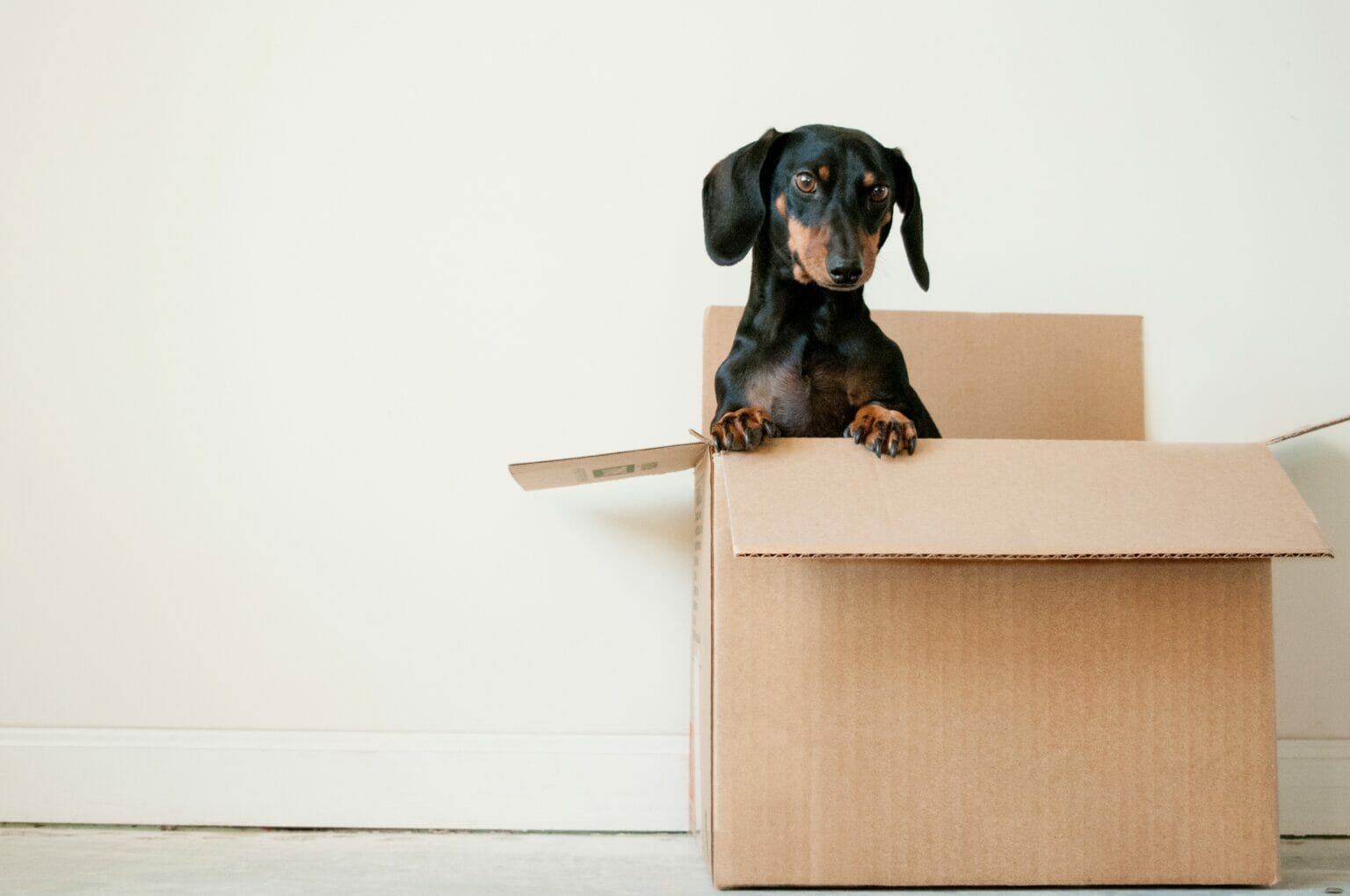 how-to-move-out-of-your-parents-house-without-drama-goodbye-self-help